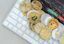 Compare NFTs vs. Cryptocurrency vs. Digital Currency Cryptocurrency