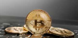 Cryptocurrency Investment