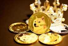 Getting Started with Dogeco, the Meme Cryptocurrency Cryptocurrency-coins