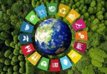 The Best Ways That You Can Go Green That Are Not Boring Going-Green