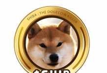 How to Make Money From Shiba Inu Coin – A Beginners Guide Shiba---Dogecoin