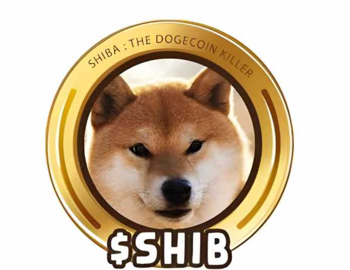Shiba---Dogecoin