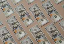 Should You Invest in US Treasury Bonds? government bonds