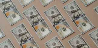 government bonds