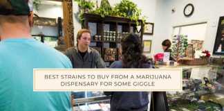 Best-Strains-Marijuana