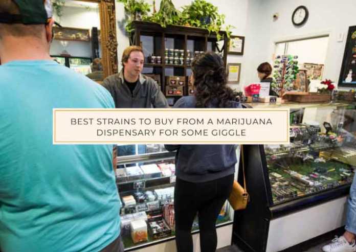 Best-Strains-Marijuana