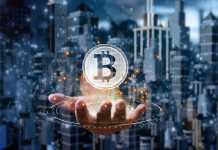 Bitcoin Prime: Is it worth using? Bitcoin