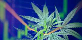 Cannabis Financing