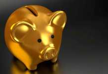 Golden---Piggy-bank