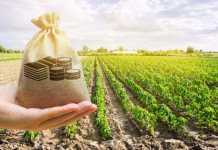 Plowing Your Portfolio? What You Should Know Before You Invest in Agriculture Invest in Agriculture