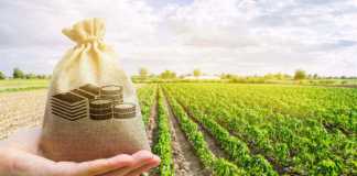 Plowing Your Portfolio? What You Should Know Before You Invest in Agriculture Invest in Agriculture