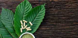 Kratom-Leaves