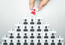 Strategies for CEOs to Build Personal and Organizational Brands Organization - CEO