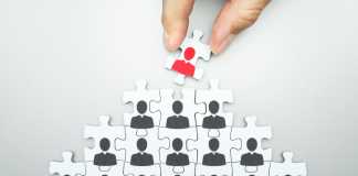 Organization - CEO