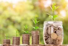 3 Proven Tips for Securing a Small Business Loan in Australia business loan