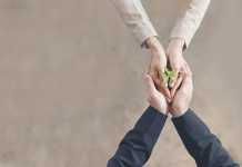 6 Green Solutions To Make Your Startup Sustainable Green Solutions To Make Your Startup Sustainable