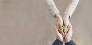 6 Green Solutions To Make Your Startup Sustainable Green Solutions To Make Your Startup Sustainable