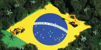 Innovation and Implementation of Sustainable AgriTech Will Strengthen UK-Brazil Trade Ties, Summit Finds Sustainable AgriTech