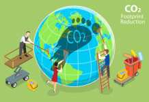 3 Ways to Reduce Your Carbon Footprint Carbon Footprint