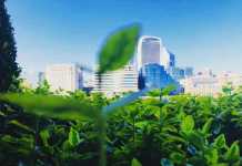 SMEs and Climate Compliance: The Time is Now
