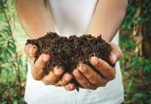 Extensive Trend for Organic Lifestyle is Boosting the Demand for Organic Fertilizers Globally