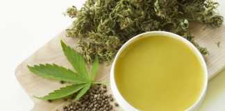 CBD Muscle Balm