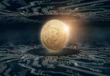 Bitcoin Myths to Ignore Bitcoin