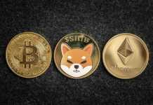 What is Shiba Inu Coin? shiba inu coin