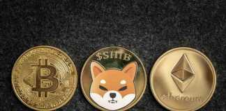 shiba inu coin