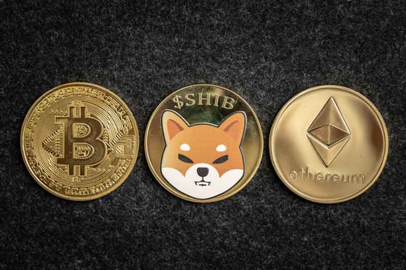 is shiba coin a good investment