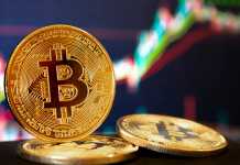 What Bitcoin Jungle is Making in Costa Rica Will Blow Your Mind Bitcoin