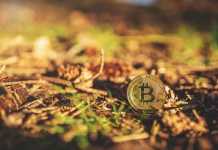 Why Aren’t Cryptocurrencies As Good As Gold? Bitcoin-gold