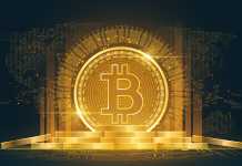 How is the Manufacturing Sector of Bhutan Affected by Bitcoin? Bitcoin cryptocurrency with a pile of coins