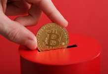 Bitcoin of Whale Definition Kiev, Ukraine - May 16, 2021: Men hand puts gold coin with bitcoin symbol into slot of red donation box. Concept crypto currency. Selective focus