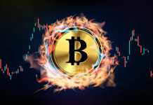 What Effect Does Bitcoin Have on Georgia’s Stock Industry? abstract background of futuristic technology Cryptocurrency bitcoin melting in fire and smoke