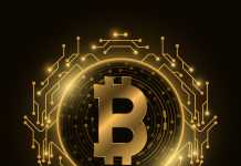 What Impact Has Bitcoin Had On The Polymer Sector Throughout The World? Futuristic golden Bitcoin digital currency. Computer circuit board. Cryptocurrency mining. Sci-fi design blockchain for graphic design. Vector illustration.