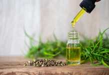 Everything You Need to Know About CBD Oil CBD Oil