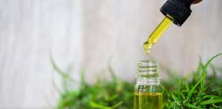 Everything You Need to Know About CBD Oil CBD Oil