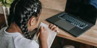 Order An Essay Online essay