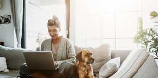 Businesswoman working on laptop computer sitting at home with a dog pet and managing her business via home office during Coronavirus or Covid-19 quarantine