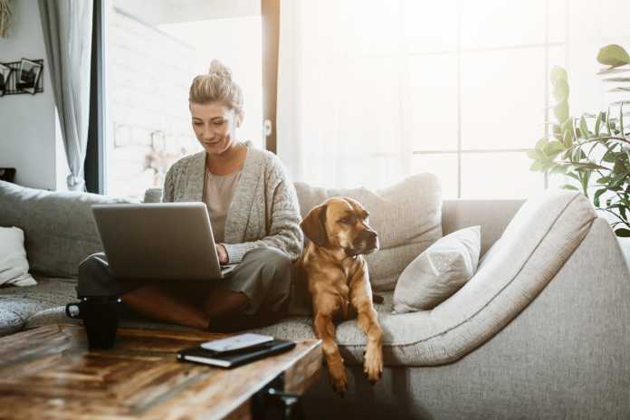 Businesswoman working on laptop computer sitting at home with a dog pet and managing her business via home office during Coronavirus or Covid-19 quarantine