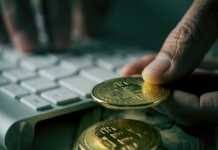 bitcoins and man using computer