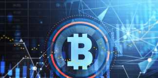 Cryptocurrency: Investment and Trading Guide Bitcoin