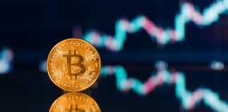 Crypto Investor