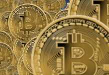 Crypto Millionaire