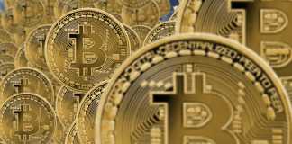 Crypto Millionaire