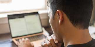 Essay