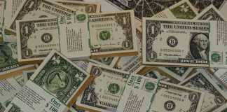 How Much Money Do You Need to Invest in the USA in Order to Get a Green Card? Money