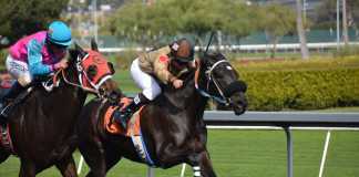 Sports Betting
