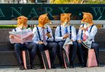 5 Easy Secrets To Win The Mascot Marketing Game Live Action Promotional Campaign